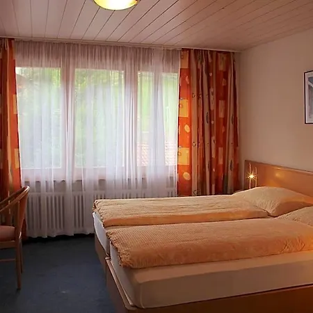 Hotel Eigerblick 3*