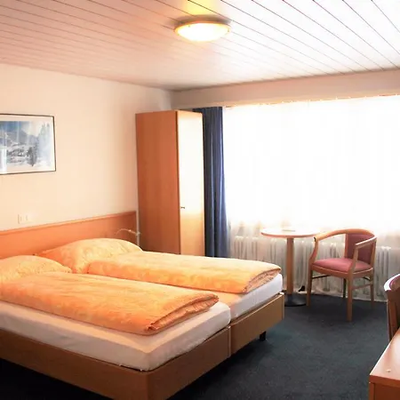 Eigerblick 3* Гриндельвальд