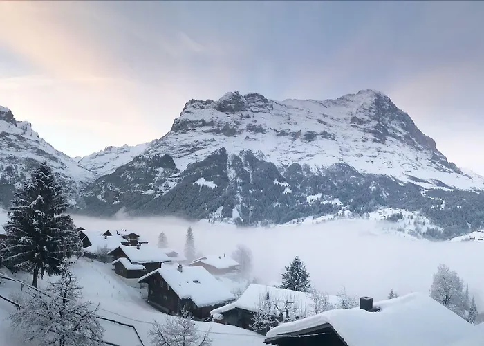 Eigerblick 호텔 3*