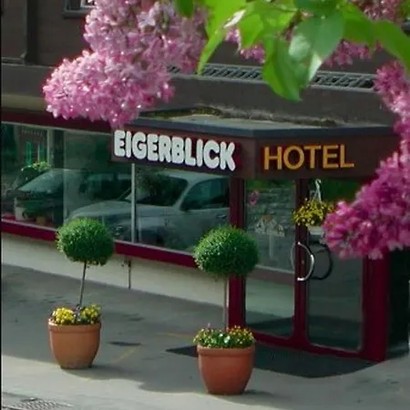 Eigerblick מלון 3*