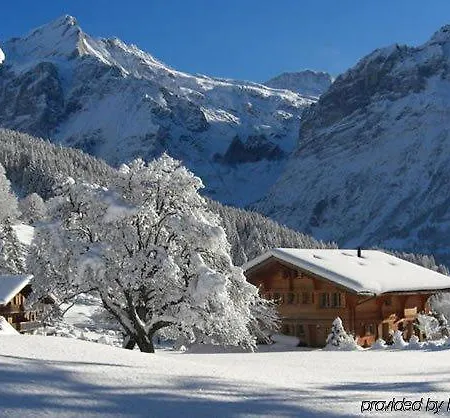 Eigerblick מלון 3*